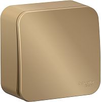 Выключатель кнопочный накладной Systeme Electric Blanca 1-кл. титан картинка